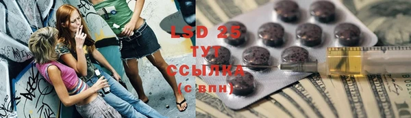 прущие грибы Козловка