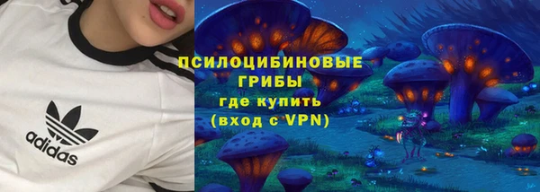 винт Костерёво