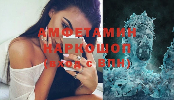 прущие грибы Корсаков