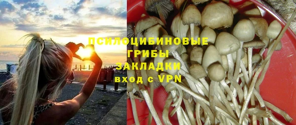 дурь Кулебаки