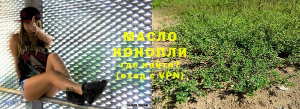 прущие грибы Корсаков