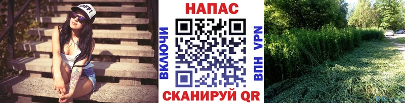 Шишки марихуана VHQ продажа наркотиков Пущино